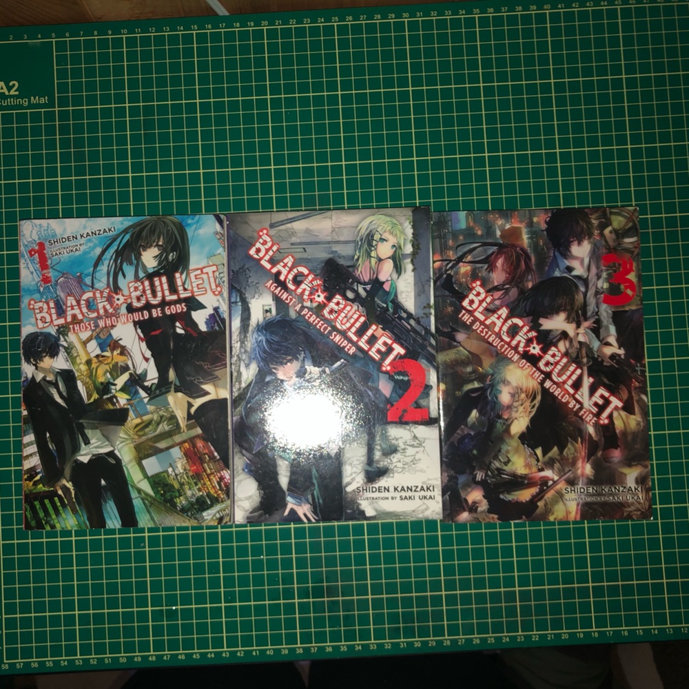 Black bullet- light novel